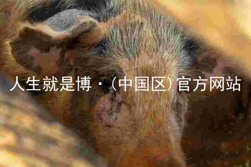 人生就是博·(中国区)官方网站