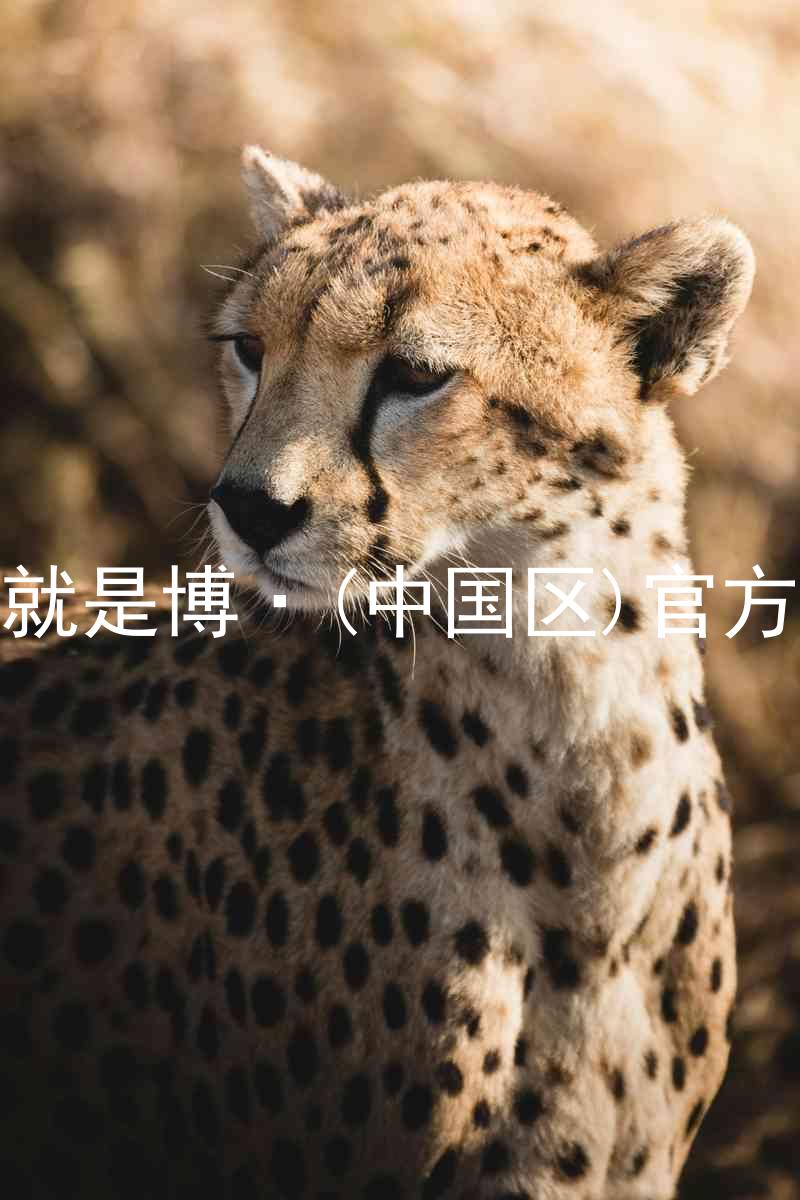 人生就是博·(中国区)官方网站